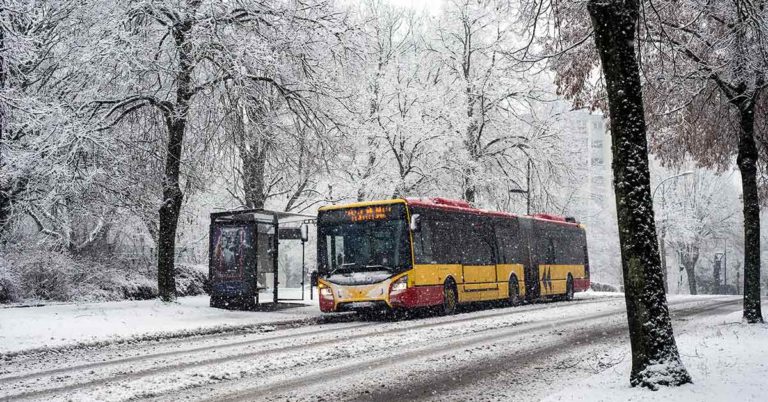 Bus Driver Kicks Out Old Lady into the Cold, Sees Her Framed Photo When Meeting His Fiancée — A Short Story - Featured image