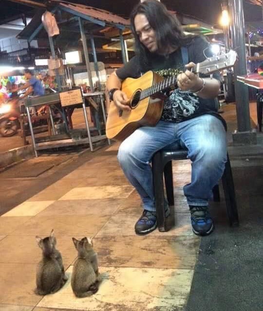 The street performer performing to the kitten audience.