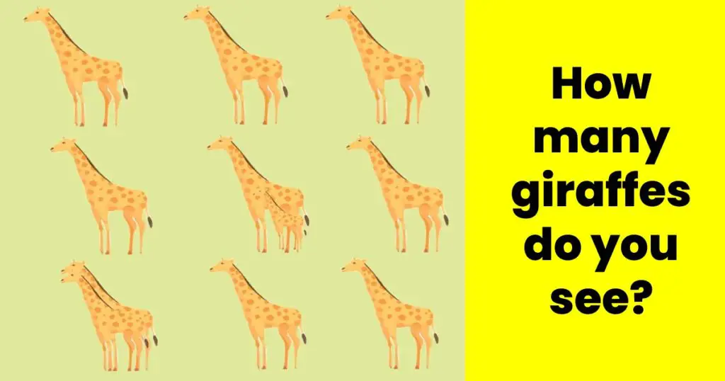 test: how many giraffes do you see?