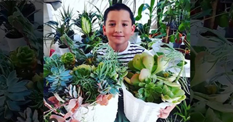 Family moves from shed to apartment, thanks to money from 8-year-old son’s plant business - Featured image