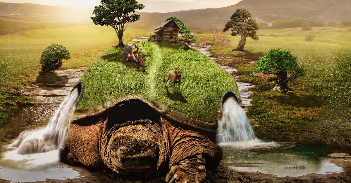 illustration of a tortoise with a grassy feild on its back which includes animals, a waterfall and a cabin