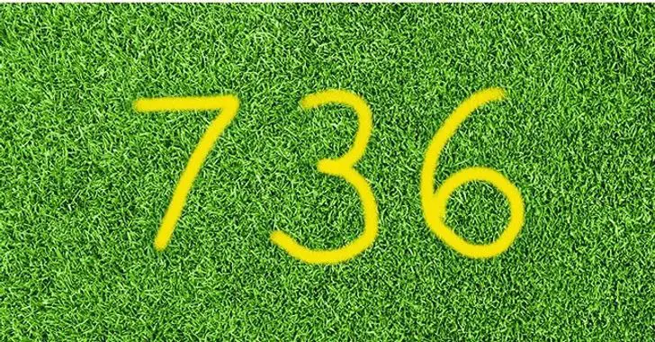 grass with 736 in yellow