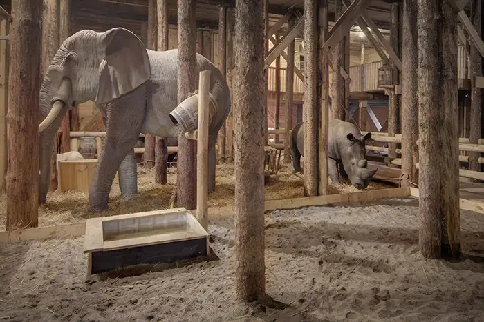 elephants inside replica of Noah's Ark