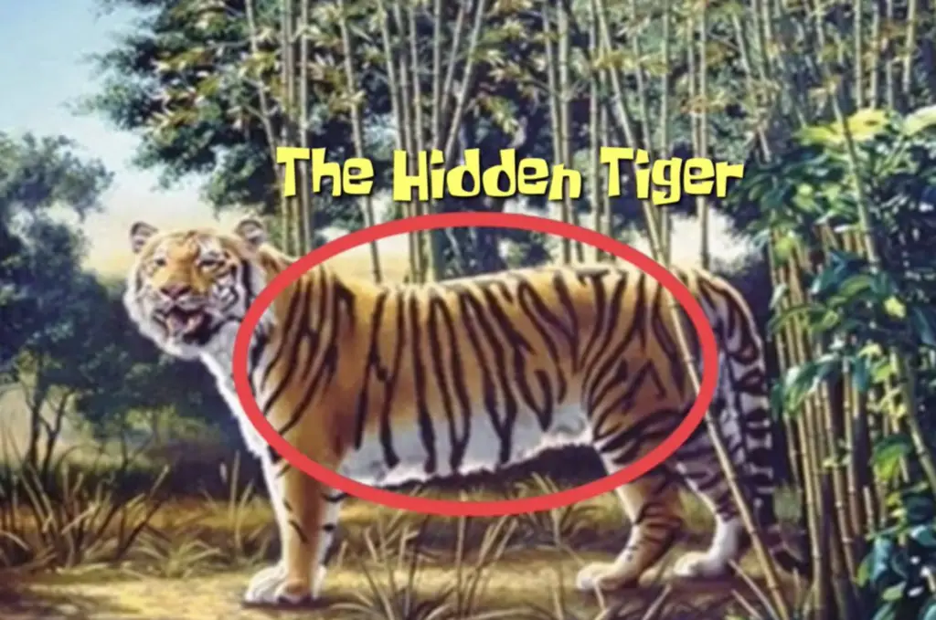 tiger with the words "hidden tiger" hidden in its stripes