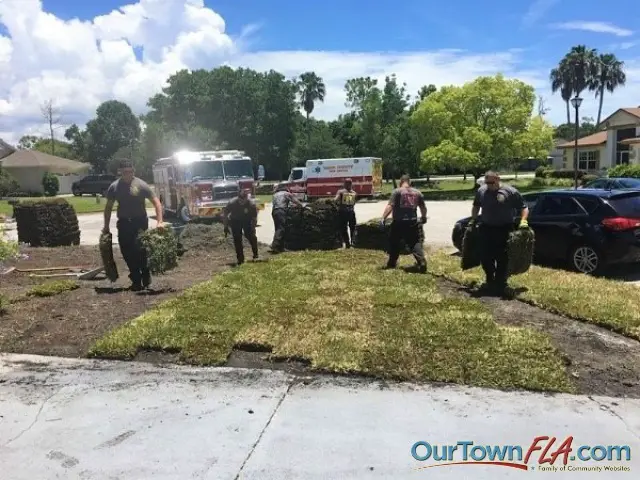 The firefighters laying down the new sod.