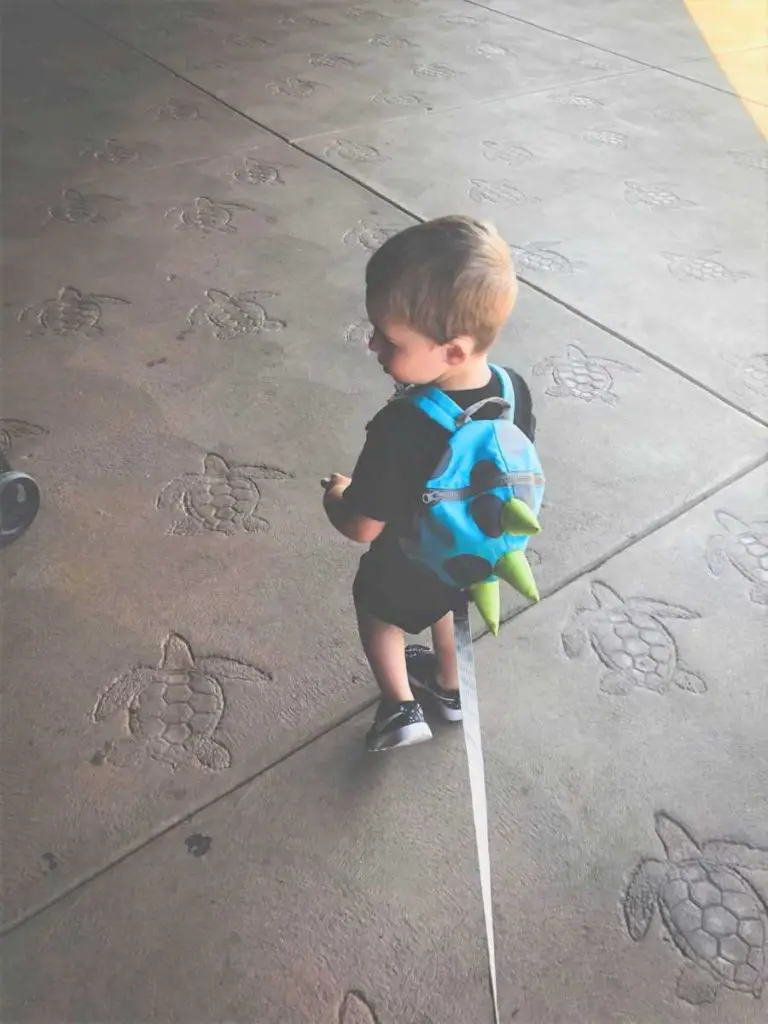Desiree Hoye's son using a child harness