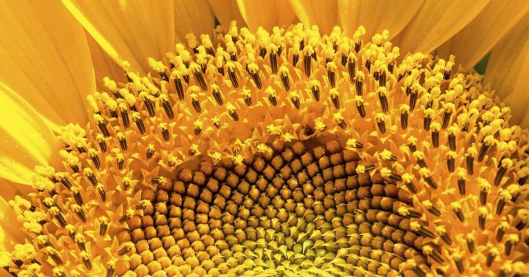 Grieving fiancée brought to tears by stranger’s meaningful gift - Featured image