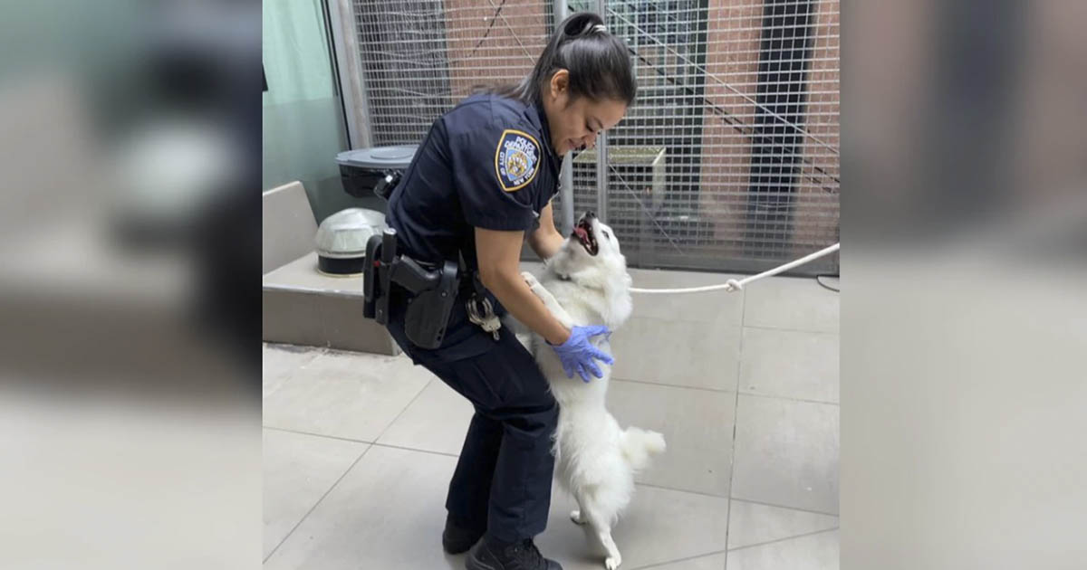 New York officer adopts dog she helped save from hot car a month ago ...