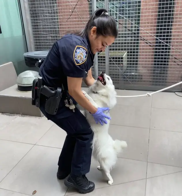 Officer decided to adopt a dog she helped saved!
