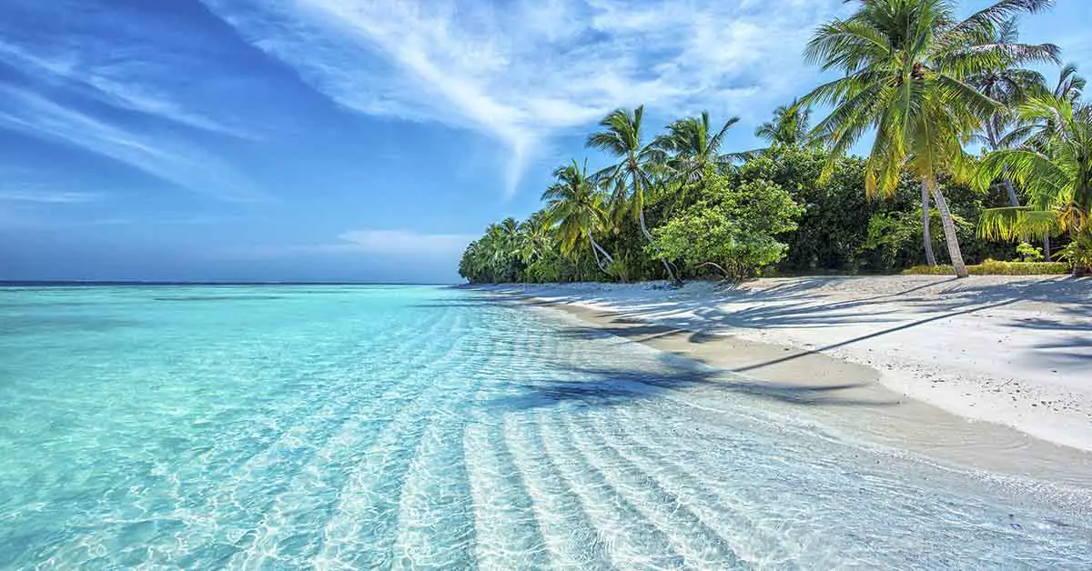 tropical beach featuring crystal clear blue water and palm trees