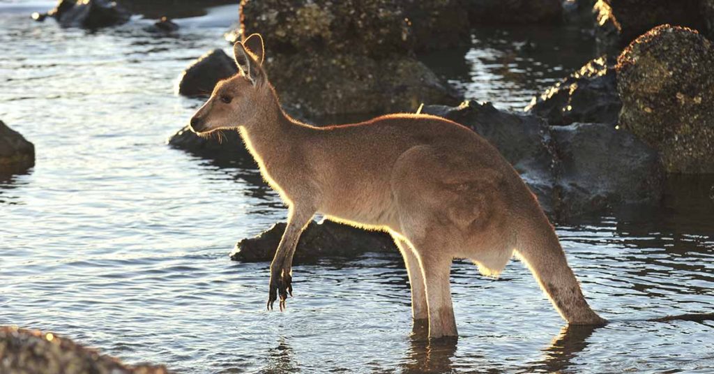 19 Seemingly Innocent Posts This Week That Made Us Say ‘Hey, Wait A Minute’ - Featured image