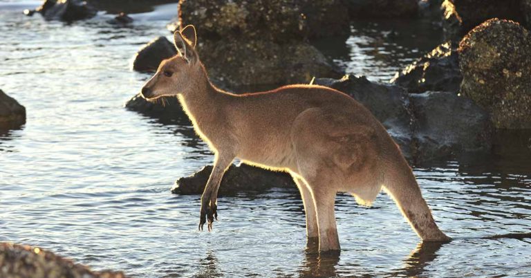 19 Seemingly Innocent Posts This Week That Made Us Say ‘Hey, Wait A Minute’ - Featured image