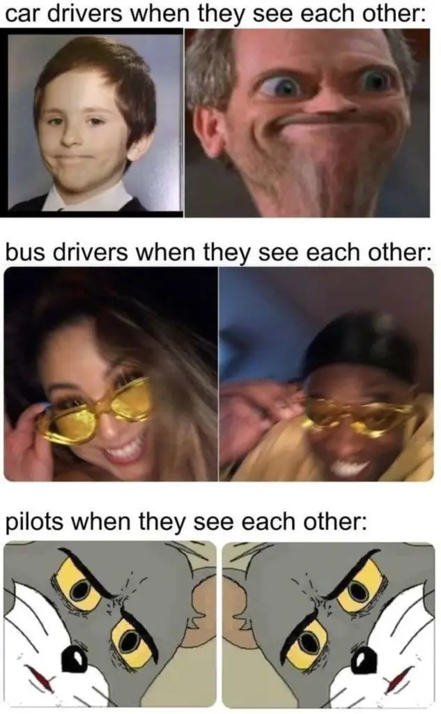 pilots meme