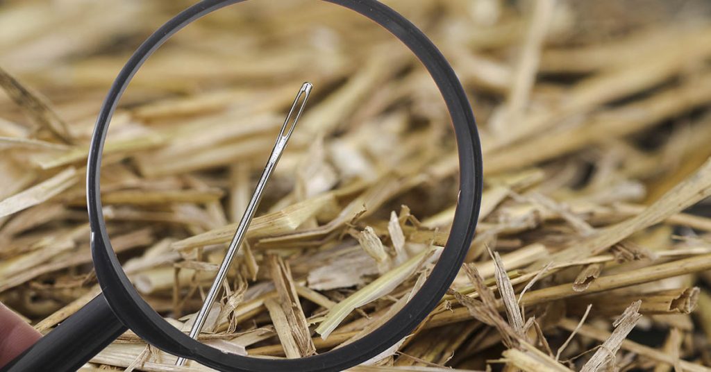 90% Of Viewers Couldn’t Spot The Mistake In This Picture! But Can You See The Error? - Featured image