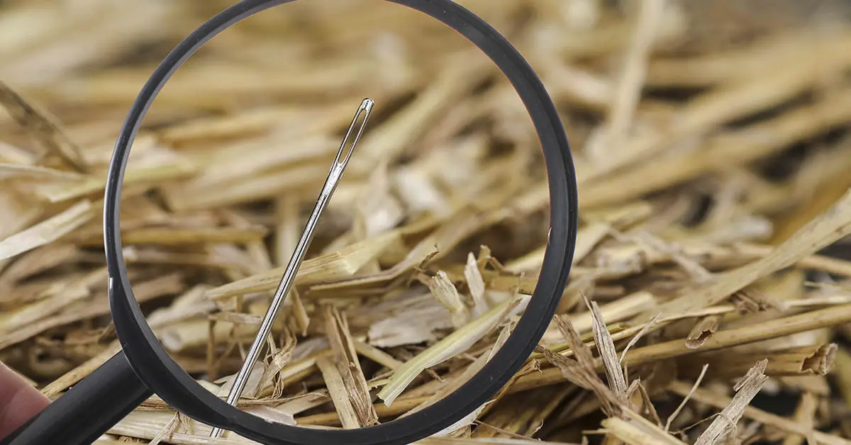 magnifying glass finding a needle in a haystack