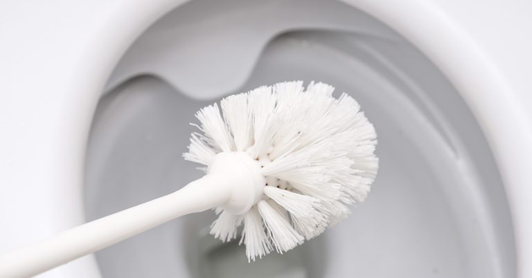 Woman splits opinion after saying she washes her toilet brush in the dishwasher - Featured image