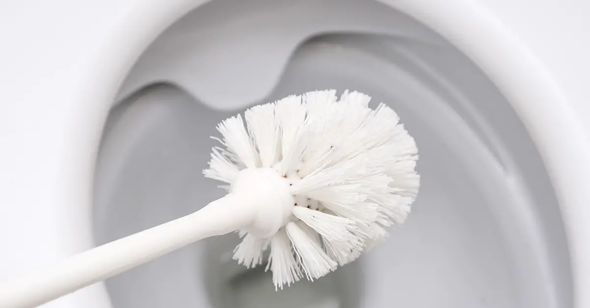 toilet brush being used in toilet bowl