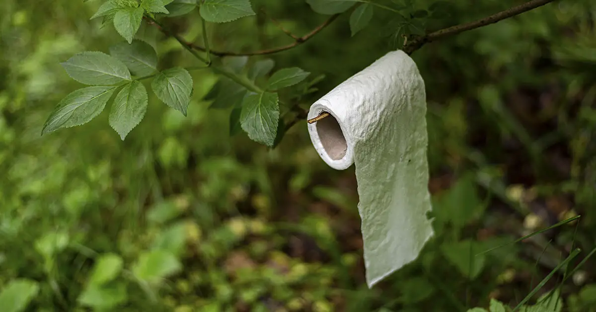 roll of toilet paper on branch in forested area
