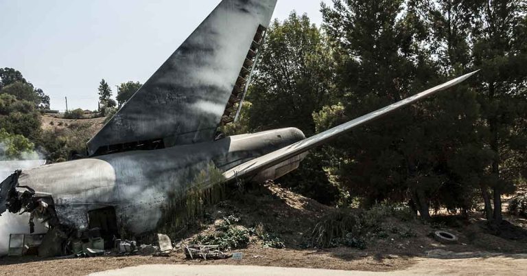 Couple Take Selfie After Surviving Disastrous Plane Crash - Featured image