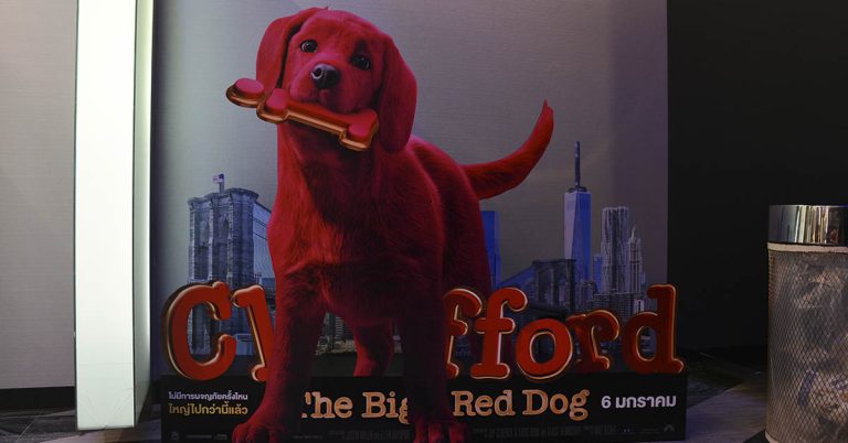 Woman dyes dog’s fur red so he won’t get stolen - Featured image