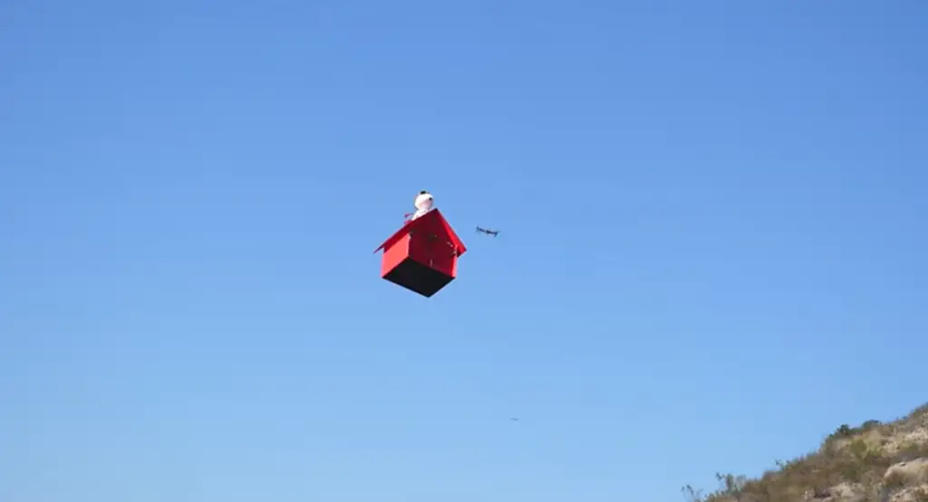 Snoopy flying with the birds