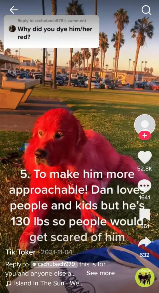 Dan gets more attention when he's bright red.
