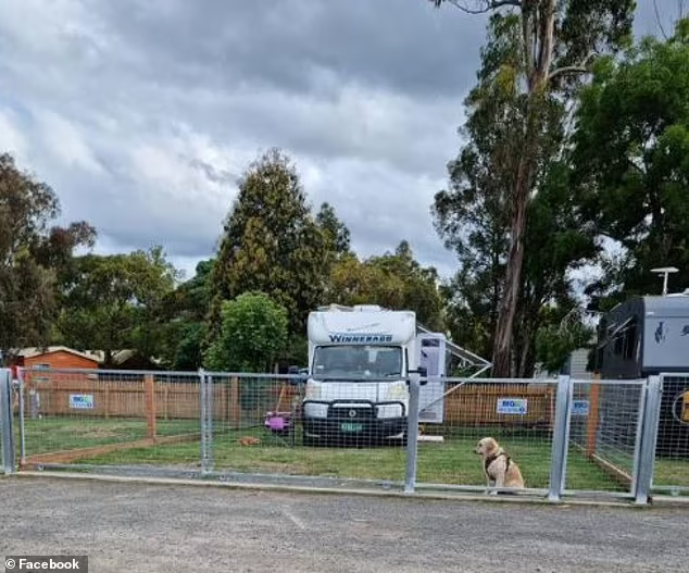 Viral picture of dpog at Ballarat Big4 Windmill RV park
