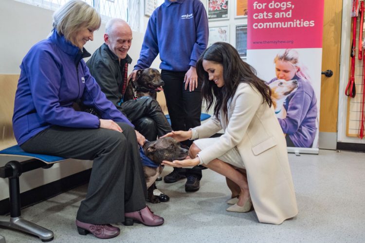 Meghan Markle petting a dog 