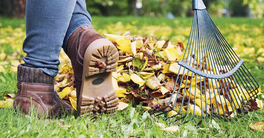 She Was Cleaning The Backyard And When She Lifted Up An Old Mattress She Found 5 Puppies - Featured image