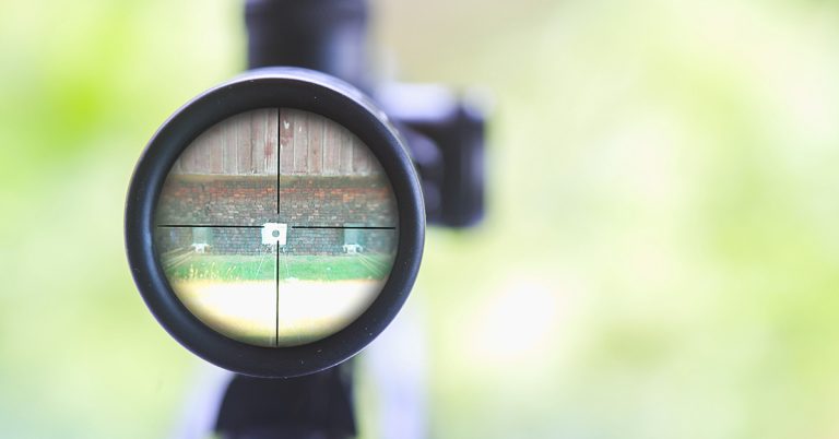 You have eyes of a marksman if you can spot deadly sniper in picture - Featured image