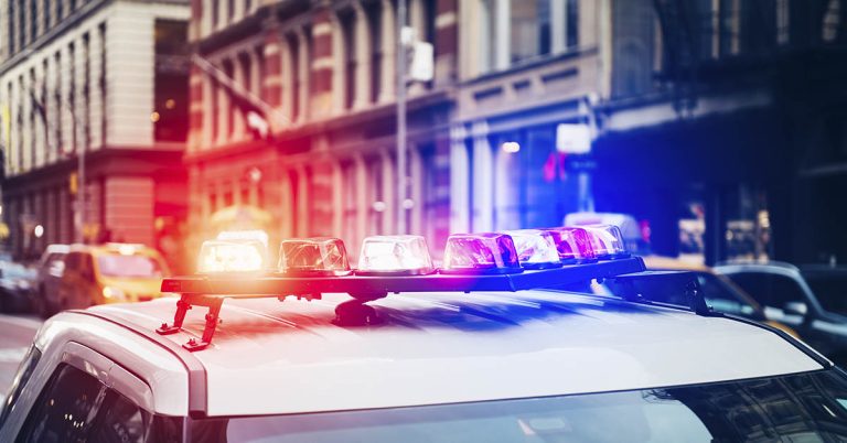 Young girl who had the cops called on her for studying lanternflies wins a major award - Featured image