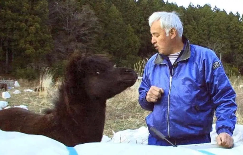 Matsumura with a foal inside the Exclusion Zone.