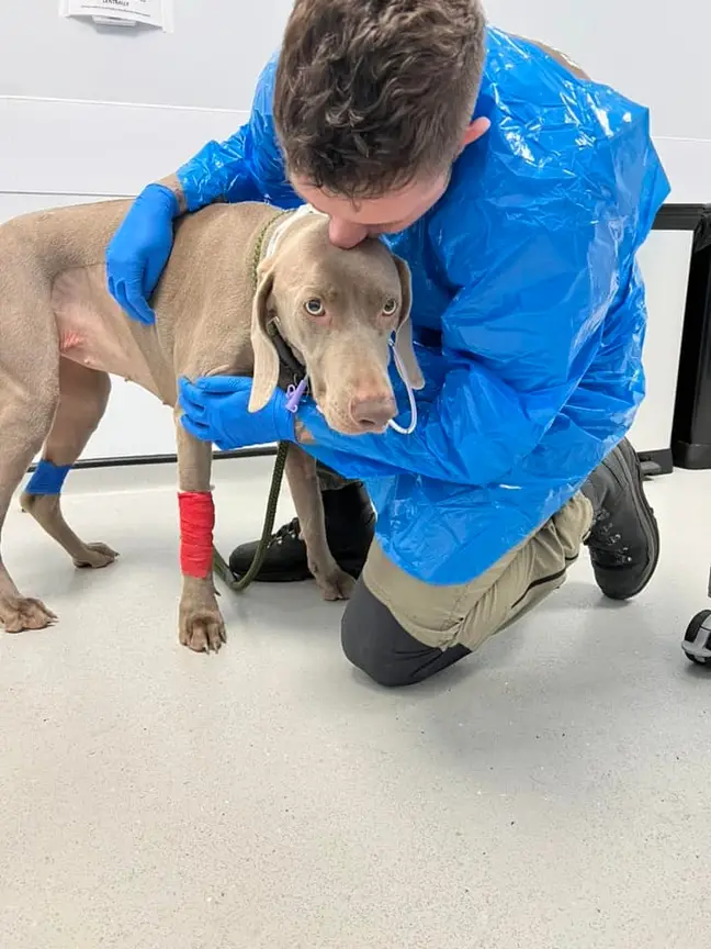 Jaxon with Rambo at the vet