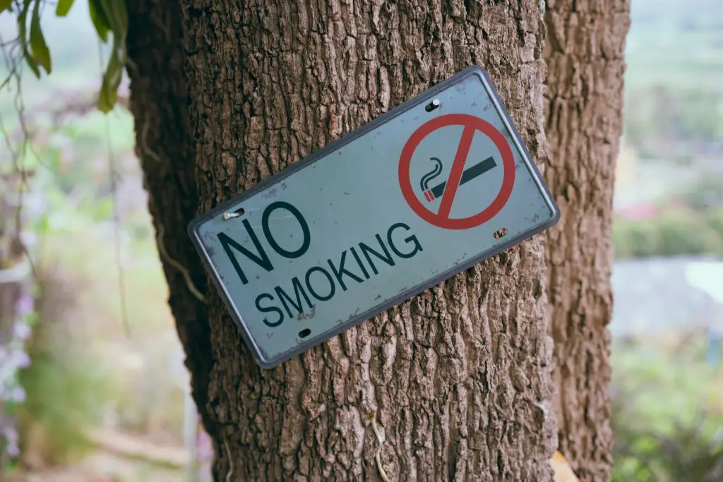 No smoking, please