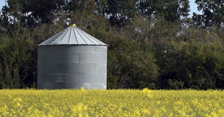 Texas couple turns grain silos into boutique tiny home - Featured image
