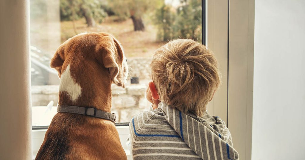 Dog Joins 3-Year-Old During Timeout In Sweetest Viral Photo - Featured image