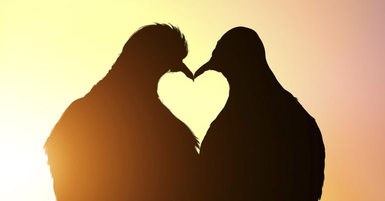 “I Can’t Get Over How Beautiful She Is,” Says a Man Engaged to a Woman 47 Years Older Than Him - Featured image