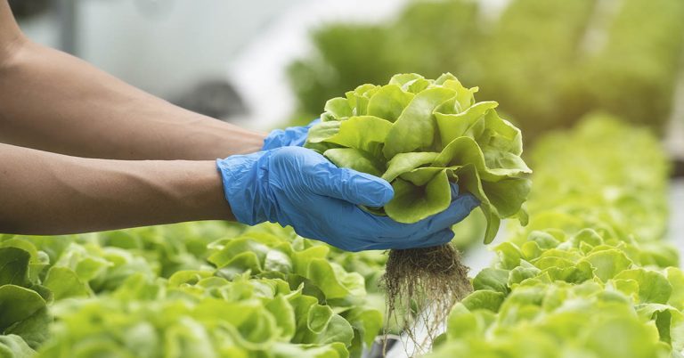 Woman with Down Syndrome Turns Green Thumb into Thriving Business - Featured image