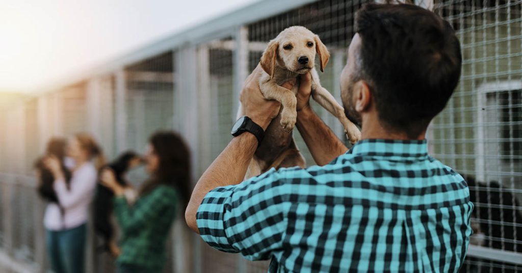 The Moment This Shelter Dog Realizes He’s Being Adopted is the Most Beautiful Thing Ever - Featured image
