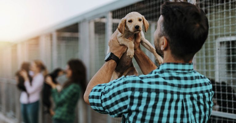 The Moment This Shelter Dog Realizes He’s Being Adopted is the Most Beautiful Thing Ever - Featured image