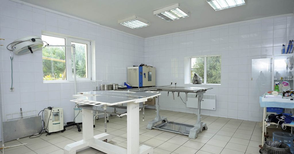 Squirrel Rescue: Teens found rodent drenched in hard foam insulation - Featured image