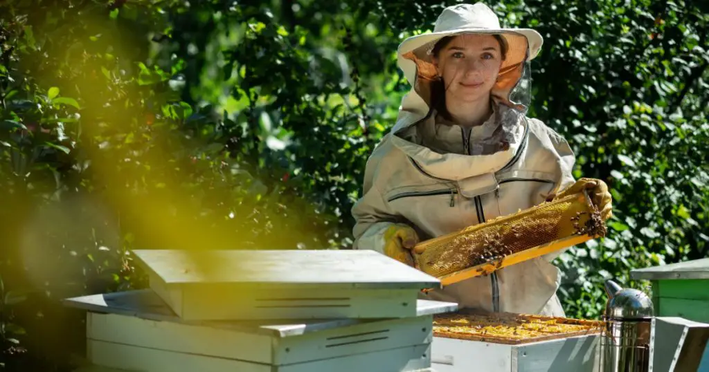 Young female beekeeper hold wooden frame with honeycomb. Collect honey. Beekeeper on apiary. Beekeeping concept.

