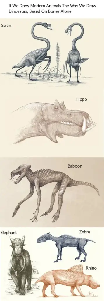 if we drew modern animals the way we draw dinosaurs, based on bones alone