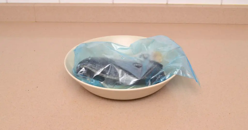 Fish thawing in plastic bag in bowl on kitchen counter
