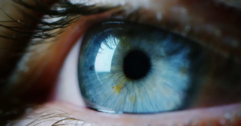 closeup blue eye
