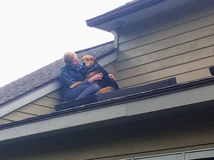 Our dog managed to open the upstairs screen door and joined our cat on the roof, requiring reassurance before coming back inside.