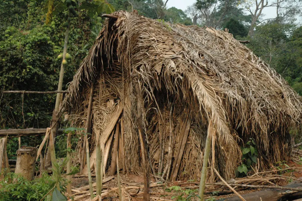 The Last of his Tribe built a tiny hut in the garden he is cultivating in Tanaru territory, Rondônia state,