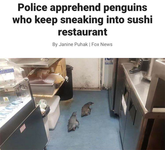 Police apprehended penguins sneaking into a sushi restaurant.