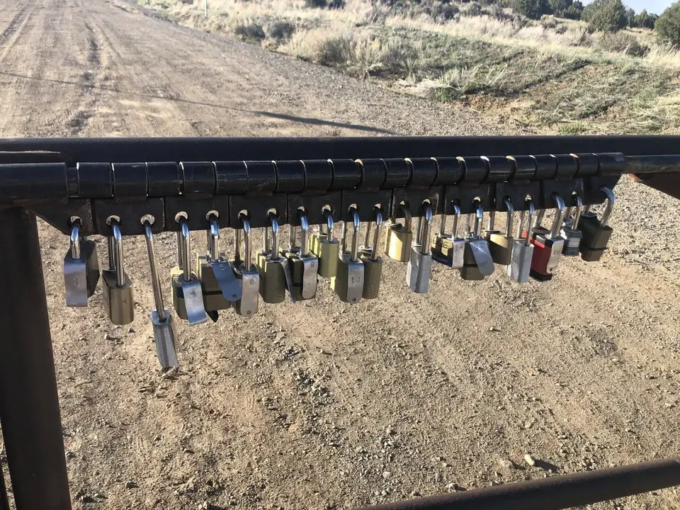A bunch of padlocks on one gate