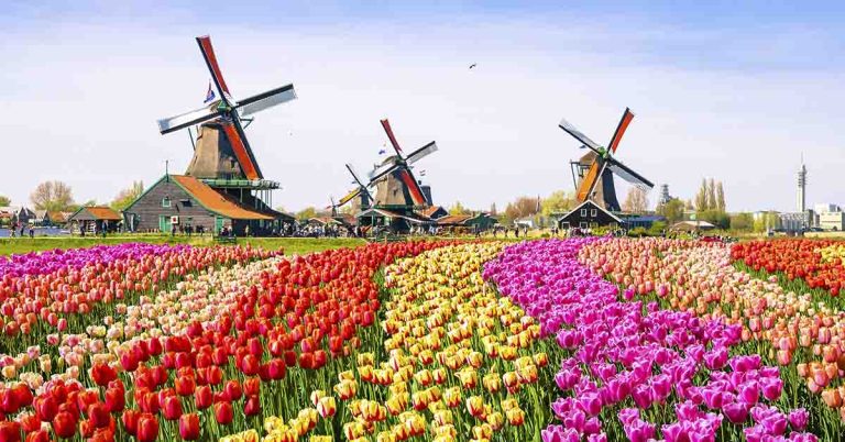 50+ Bizarre Things They Only Do In The Netherlands - Featured image